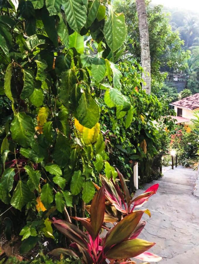 Remanso Da Ilha Bed and Breakfast Morro de São Paulo Eksteriør billede